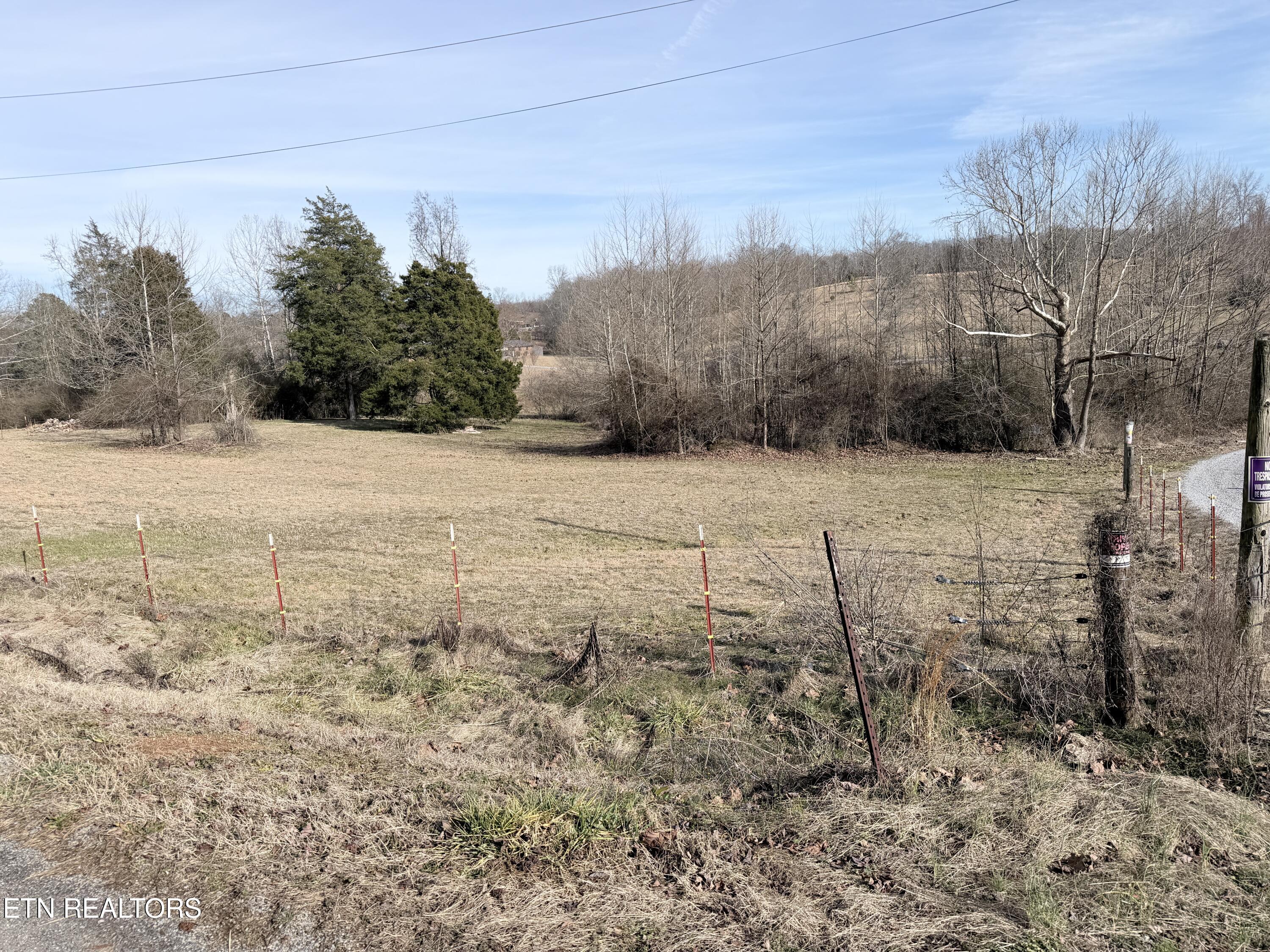 189 County Road Decatur, TN 37322 - Photo 7 of 28 IMG_0320