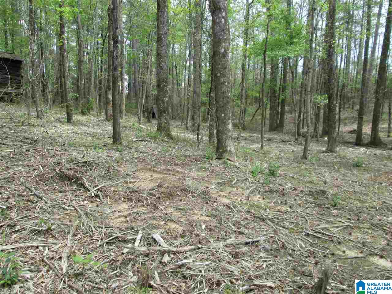 2460 Corner Road Warrior, AL 35180 - Photo 11 of 13