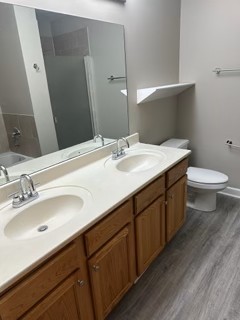 1529 South State Street, Unit 4B Chicago, IL 60605 - Photo 15 of 16 a bathroom with a sink and a mirror