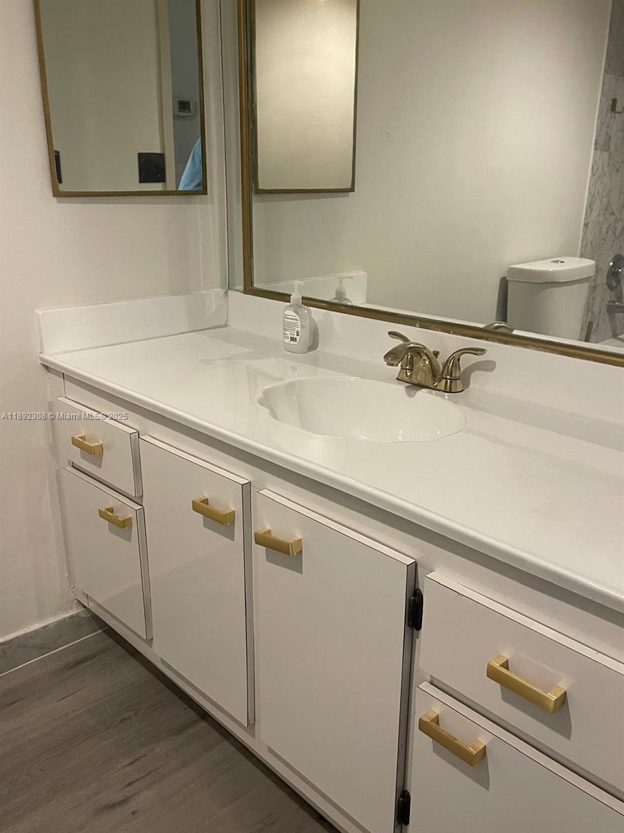 555 Northeast 15th Street, Unit 416 Miami, FL 33132 - Photo 4 of 13 a close view of sink and tap