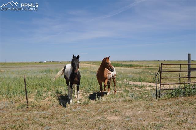 36825 East Jones Road Yoder, CO 80864 - Photo 33 of 35 Lovely pasture view!
