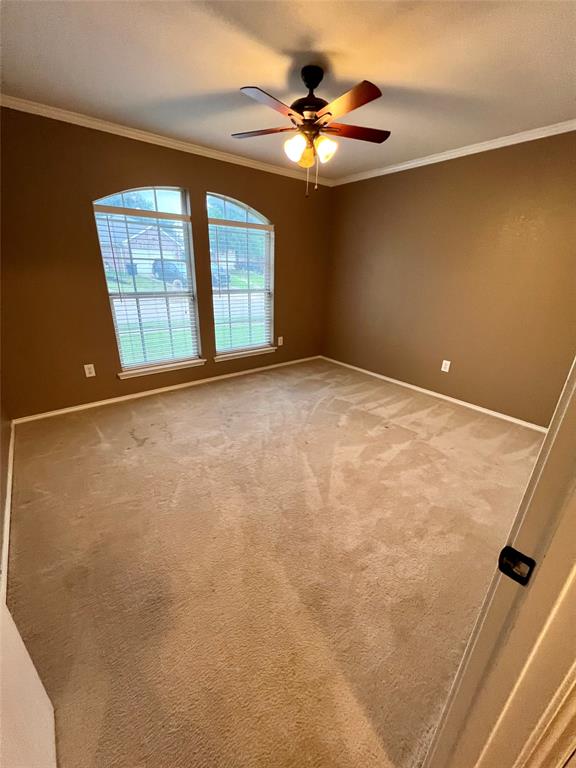 12201 Rolling Ridge Drive Fort Worth, TX 76028 - Photo 15 of 21 Carpeted room featuring dual arched windows with blinds, a ceiling fan with integrated lighting, crown molding, and neutral wall paint