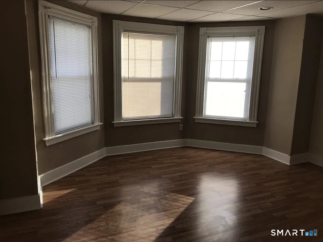 39 Pine Street New Haven, CT 06513 - Photo 4 of 13