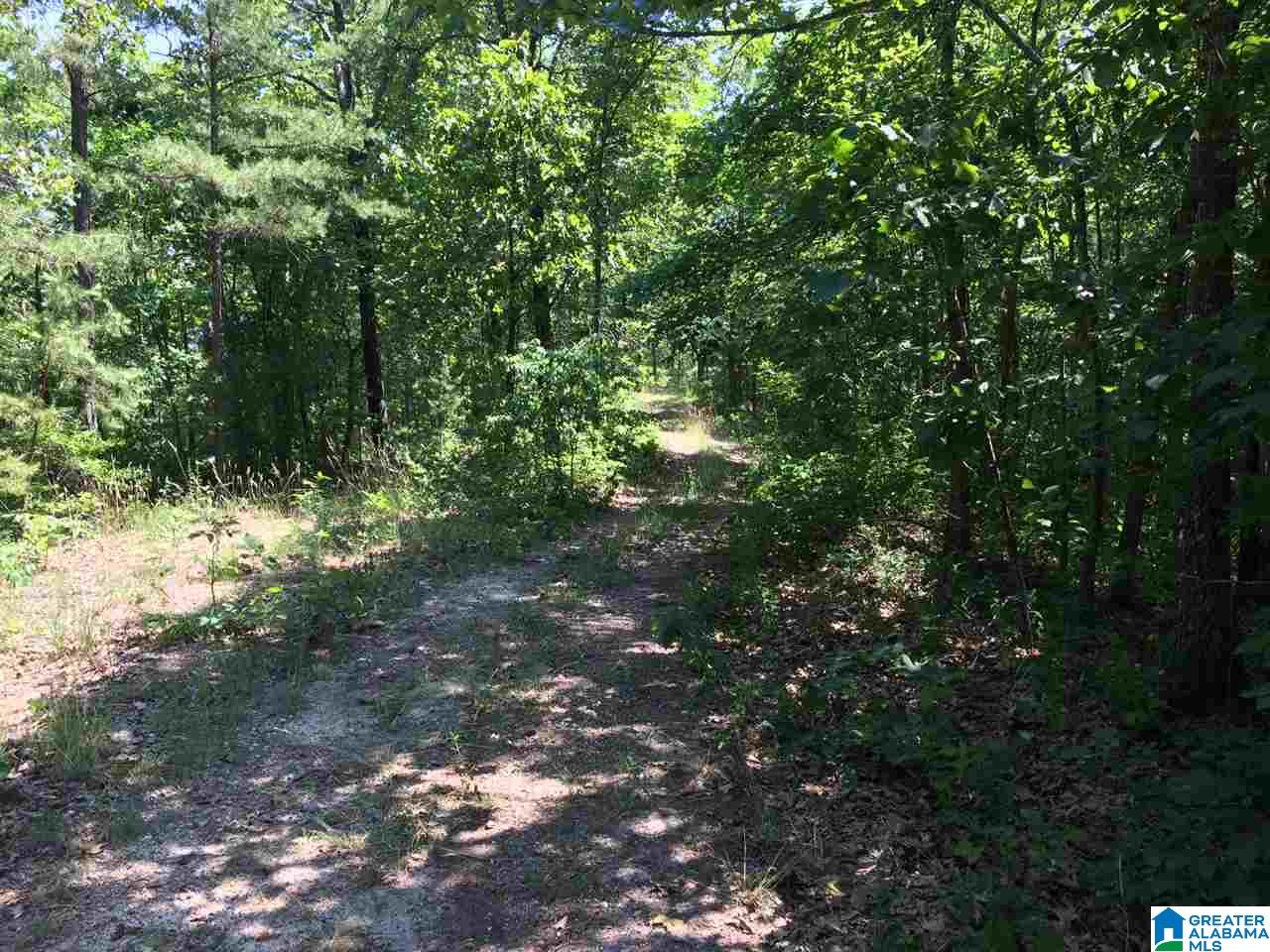 Pleasant Valley Road, Unit 40 Odenville, AL 35120 - Photo 3 of 6