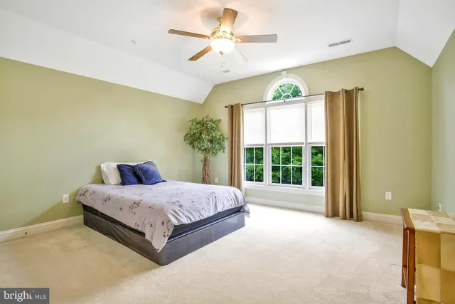 a bathroom with a shower curtain and a bathtub