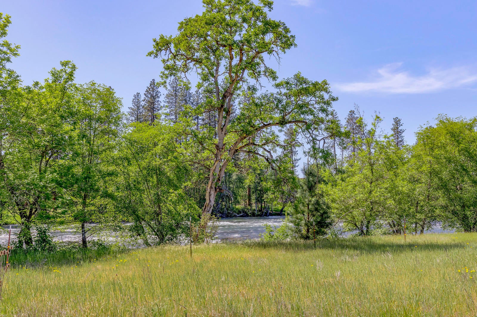 13139 Agate Road Eagle Point, OR 97524 - Photo 15 of 19 14_AR_14_mls