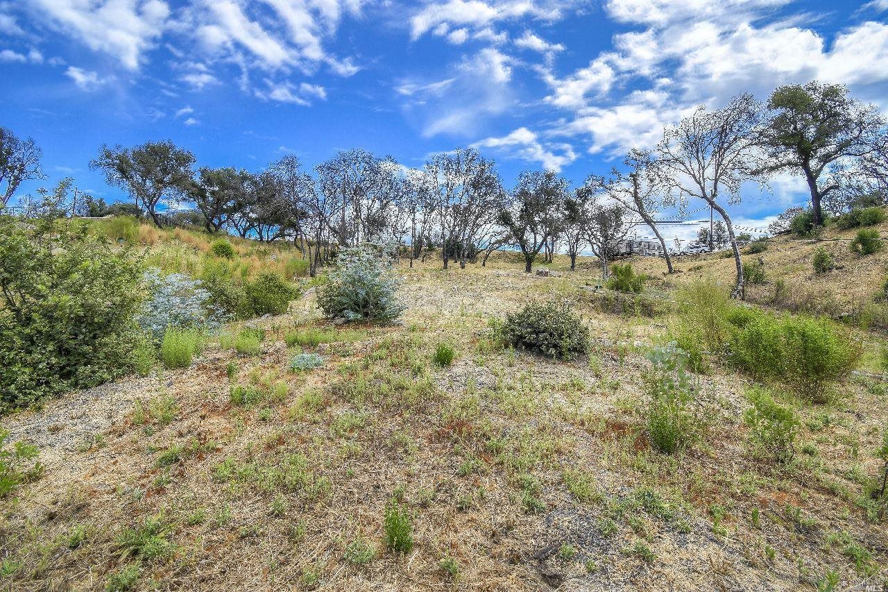 1253 Mark West Springs Road Santa Rosa, CA 95404 - Photo 1 of 1 a view of a yard with a tree
