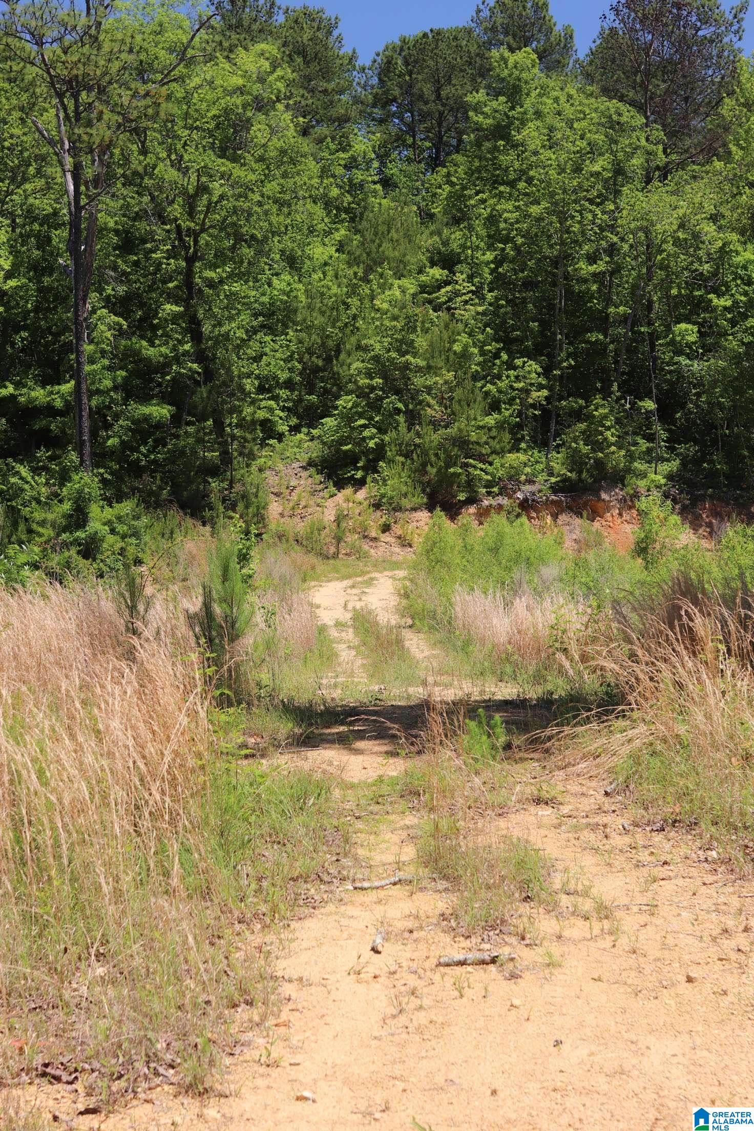 2930 Shocco Springs Road Talladega, AL 35160 - Photo 35 of 93