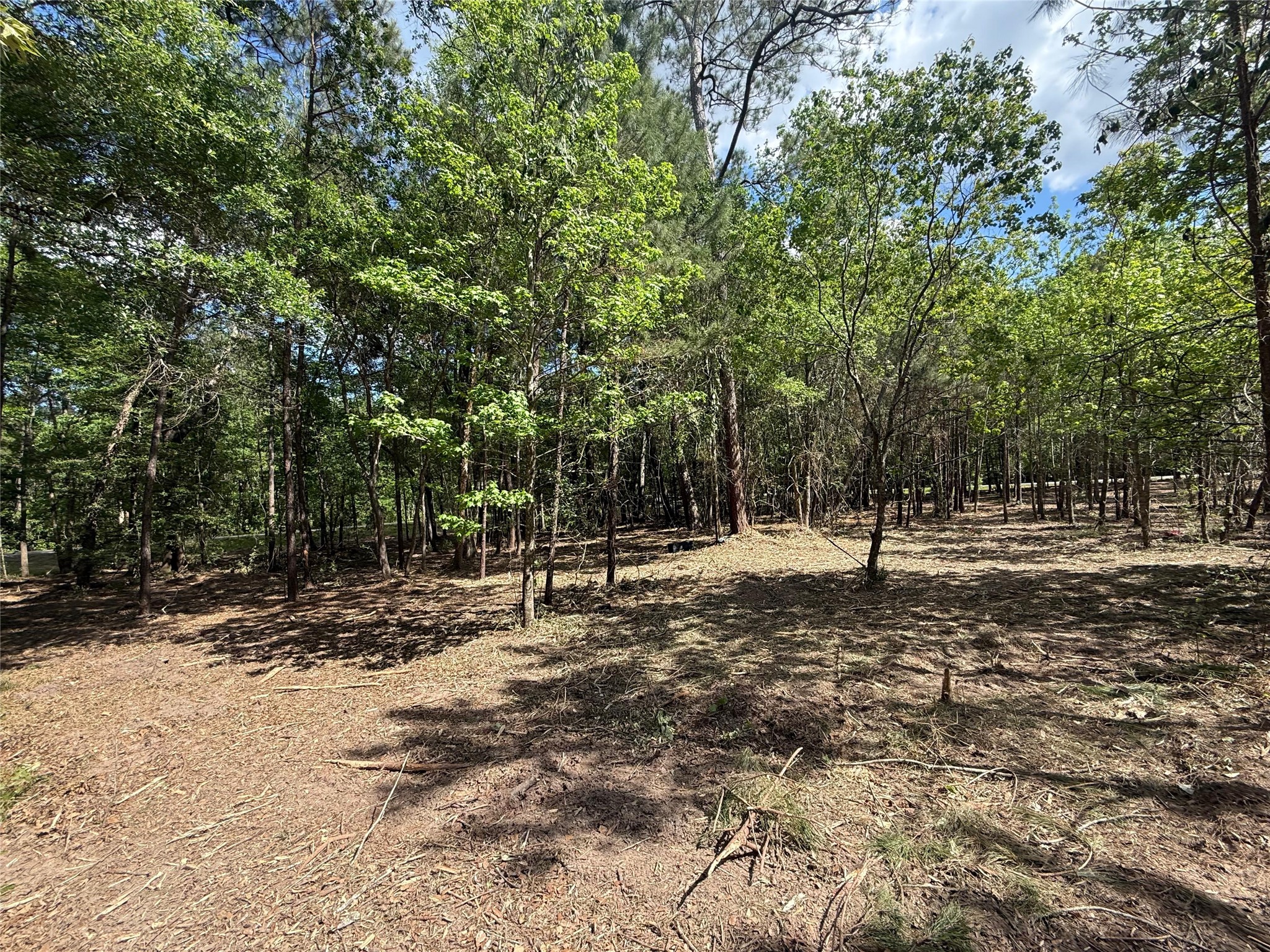 0 Daniel Street Magnolia, TX 77354 - Photo 13 of 14