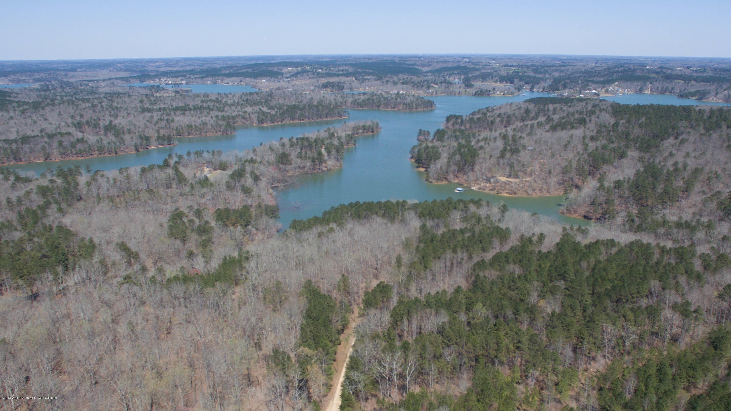 Lot 12 Co Road Jasper, AL 35503 - Photo 3 of 15 Gallery Image 3