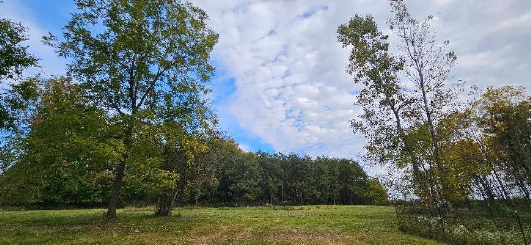 0 Lemon Road Bancroft, MI 48414 - Photo 6 of 16 Gallery Image 6
