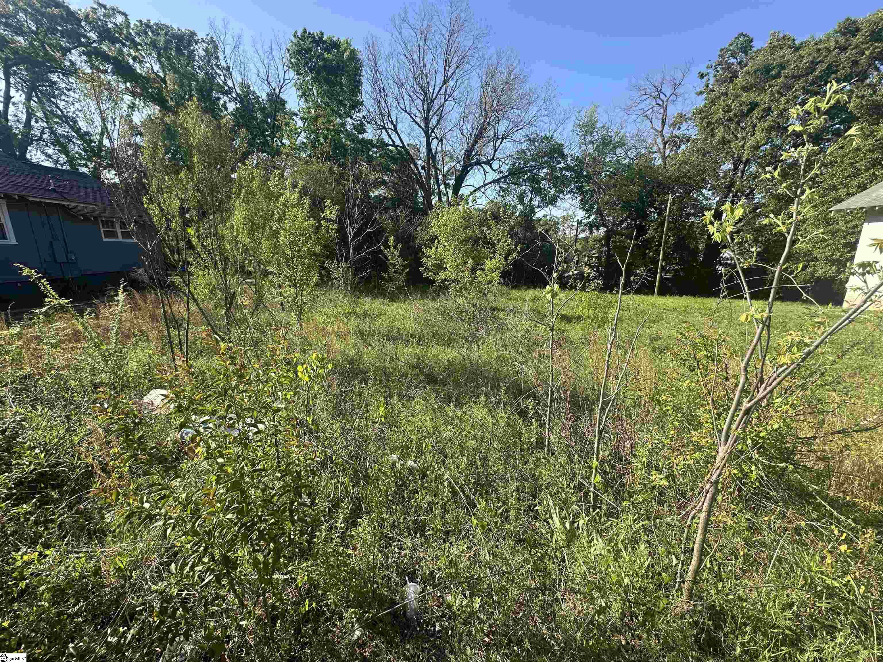 320 Fleming Street Laurens, SC 29360 - Photo 3 of 6