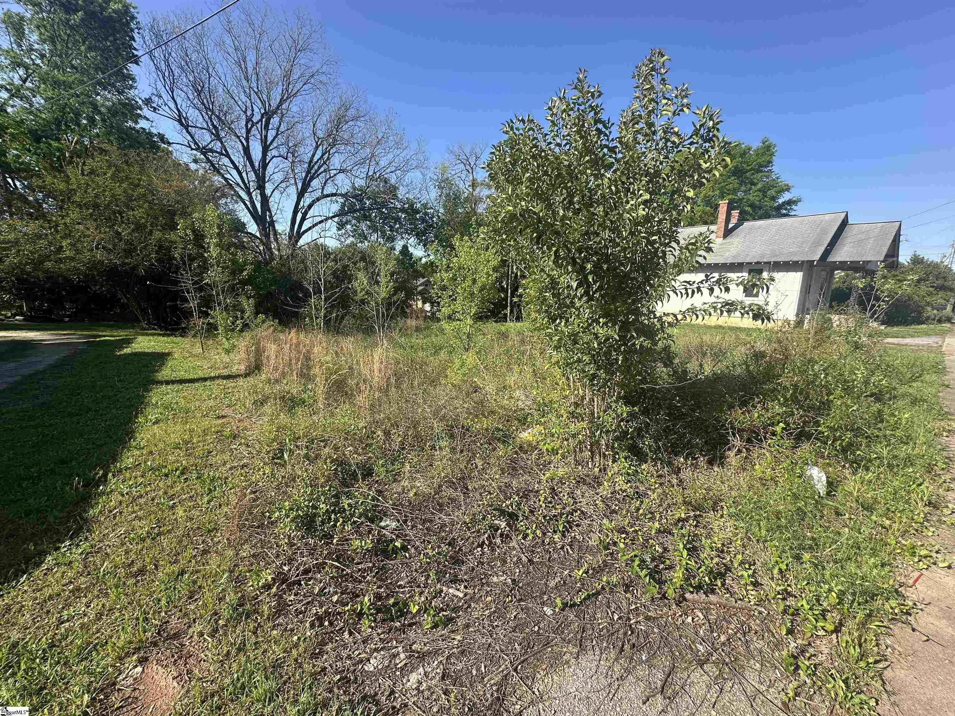 320 Fleming Street Laurens, SC 29360 - Photo 4 of 6