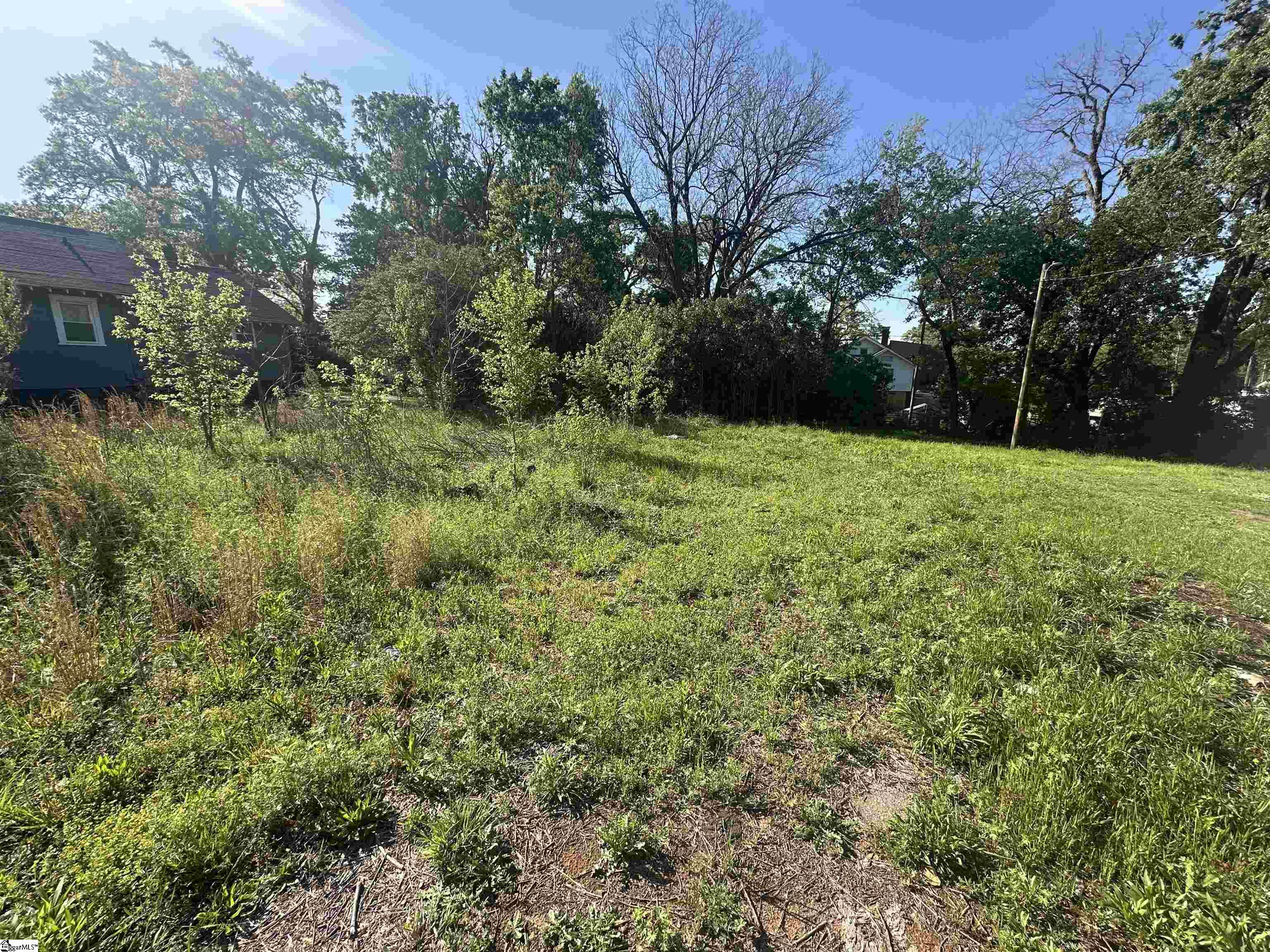 320 Fleming Street Laurens, SC 29360 - Photo 6 of 6