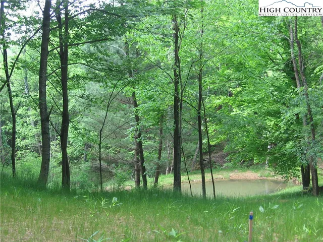 $28,430 | Lot 12 Talon Drive, Boone, NC 28607