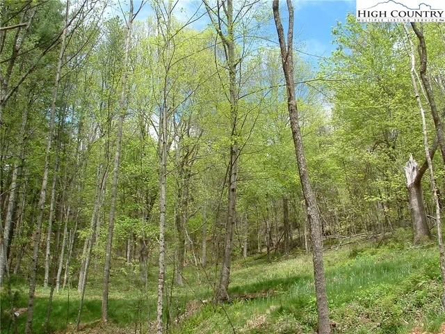 $28,430 | Lot 12 Talon Drive, Boone, NC 28607