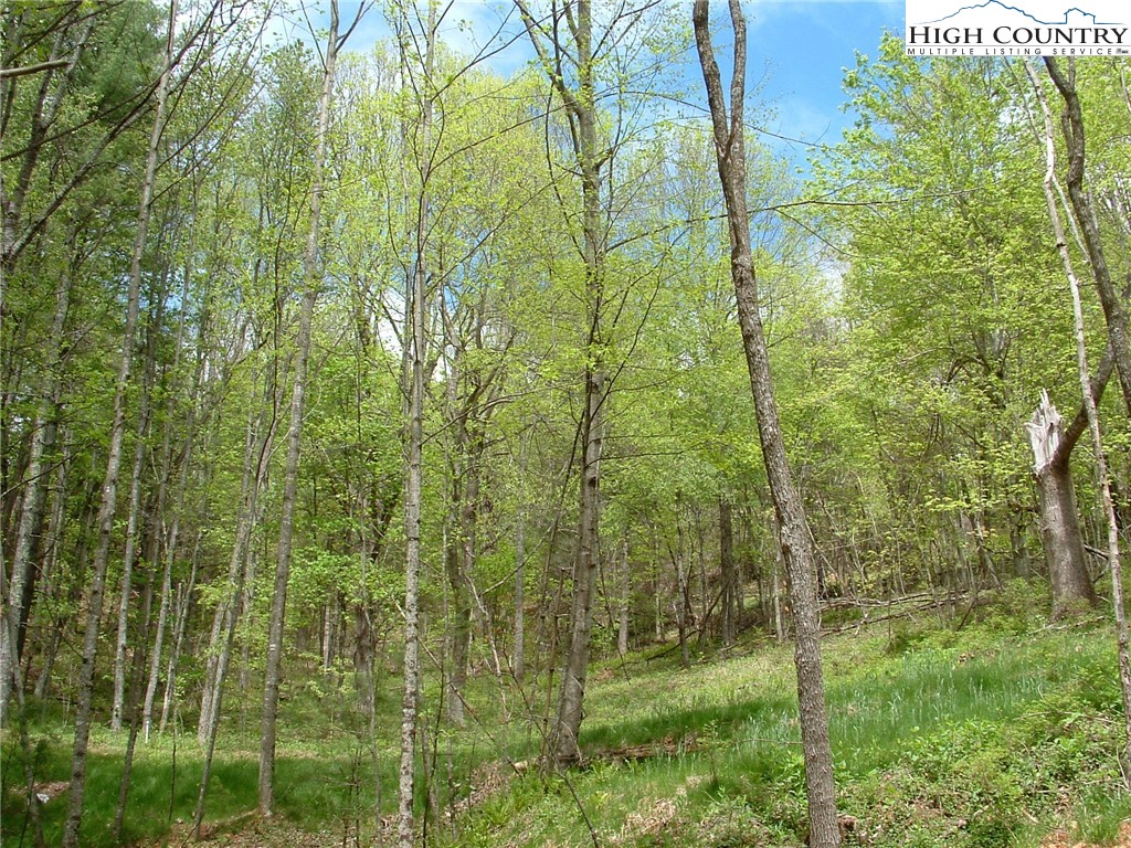 Lot 12 Talon Drive Boone, NC 28607 - Photo 3 of 3