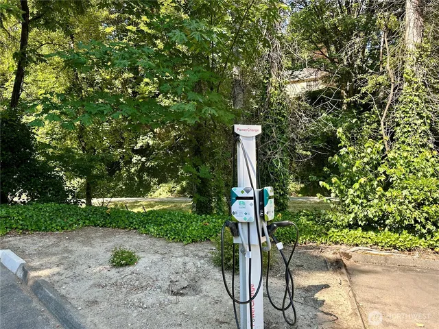 a view of a park with plants