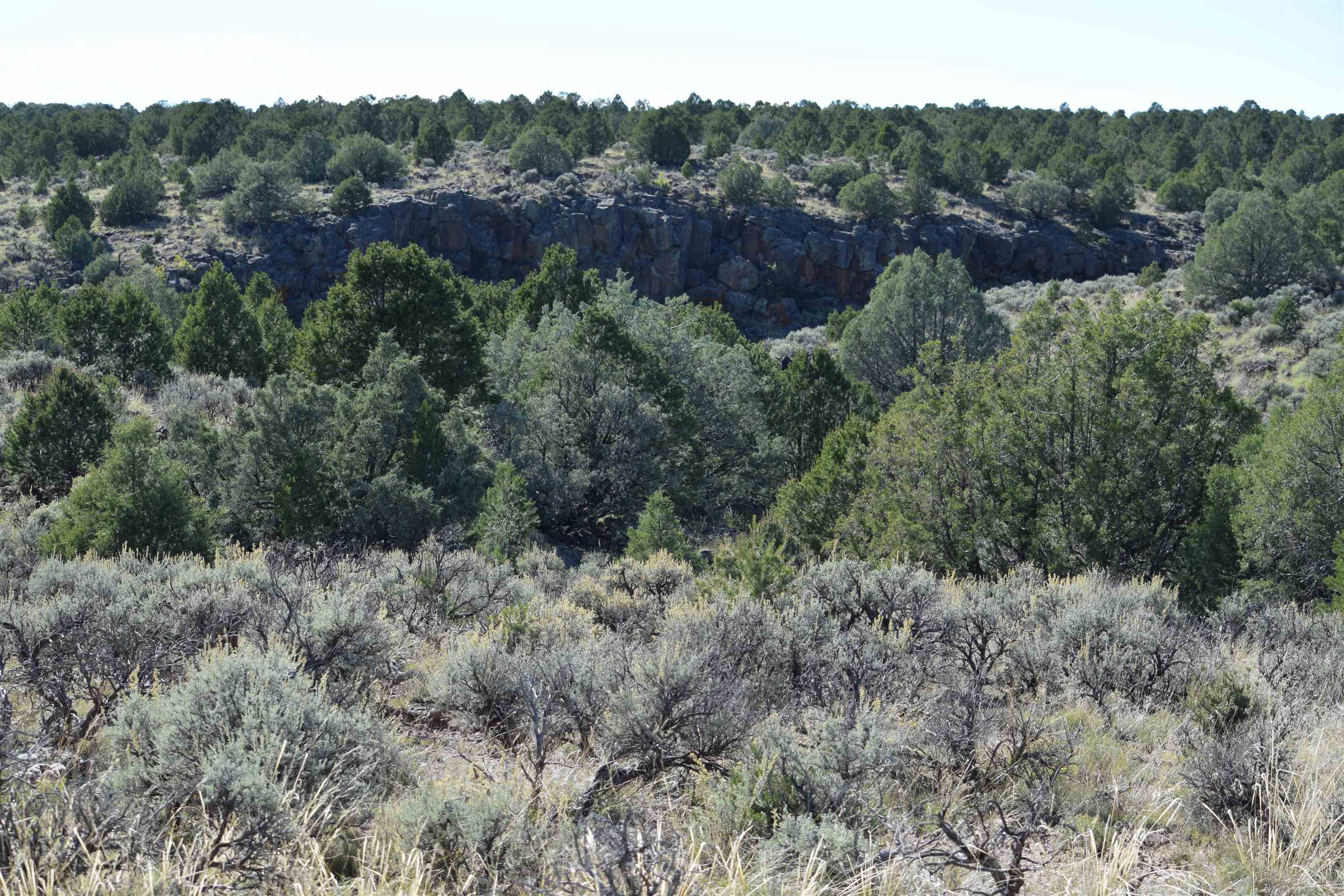 Matisse Road Carson, NM 87517 - Photo 21 of 29