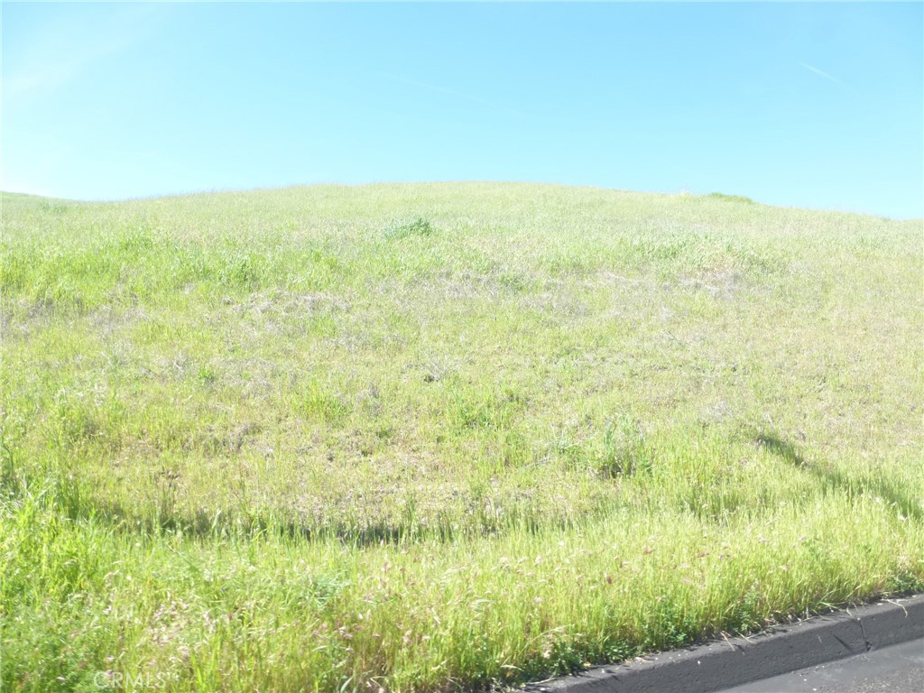 0 Douglas Road San Miguel, CA 93451 - Photo 13 of 42