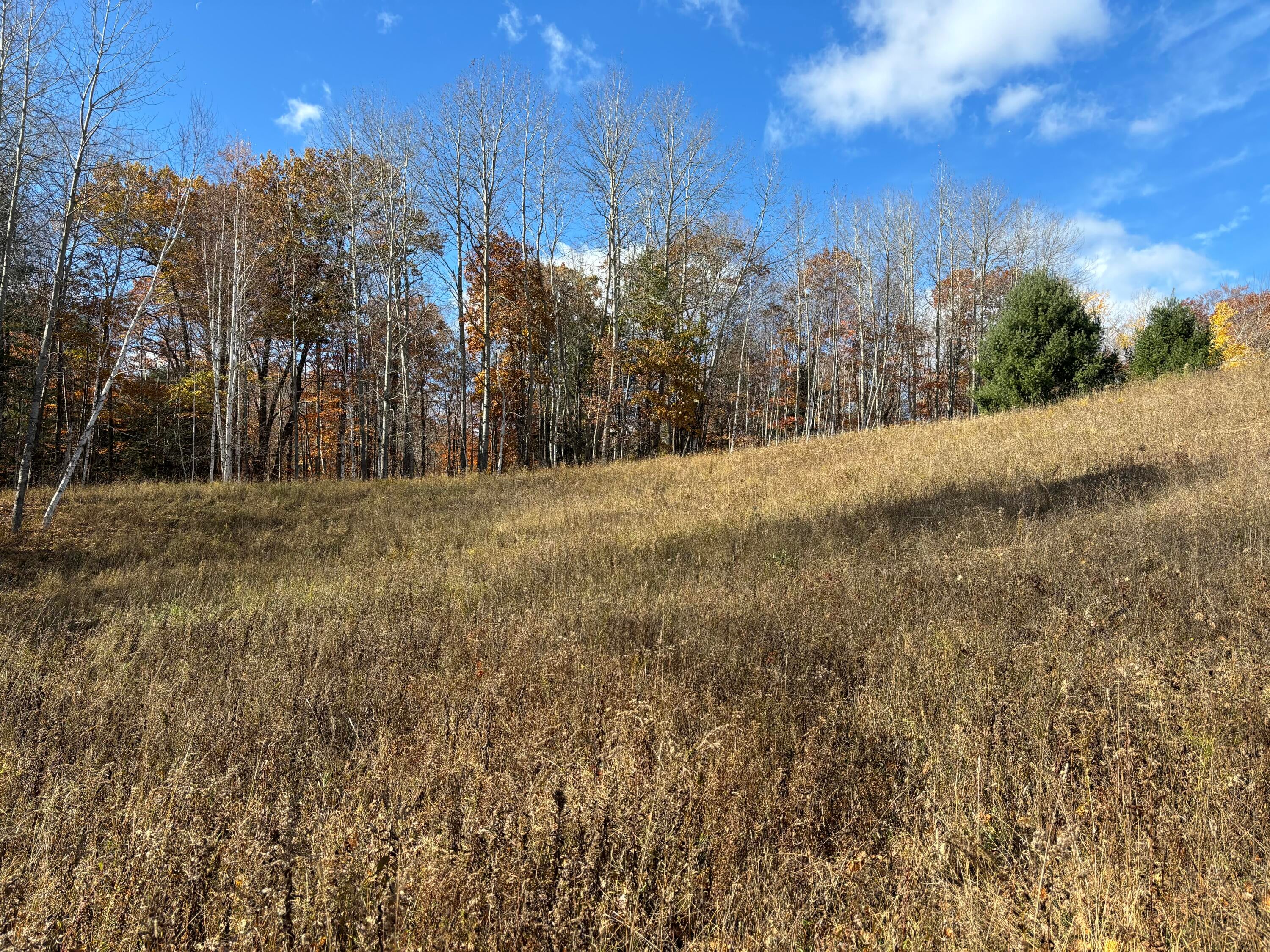 Gray Road Rd Branch West Branch, MI 48661 - Photo 2 of 12 Gallery Image 2