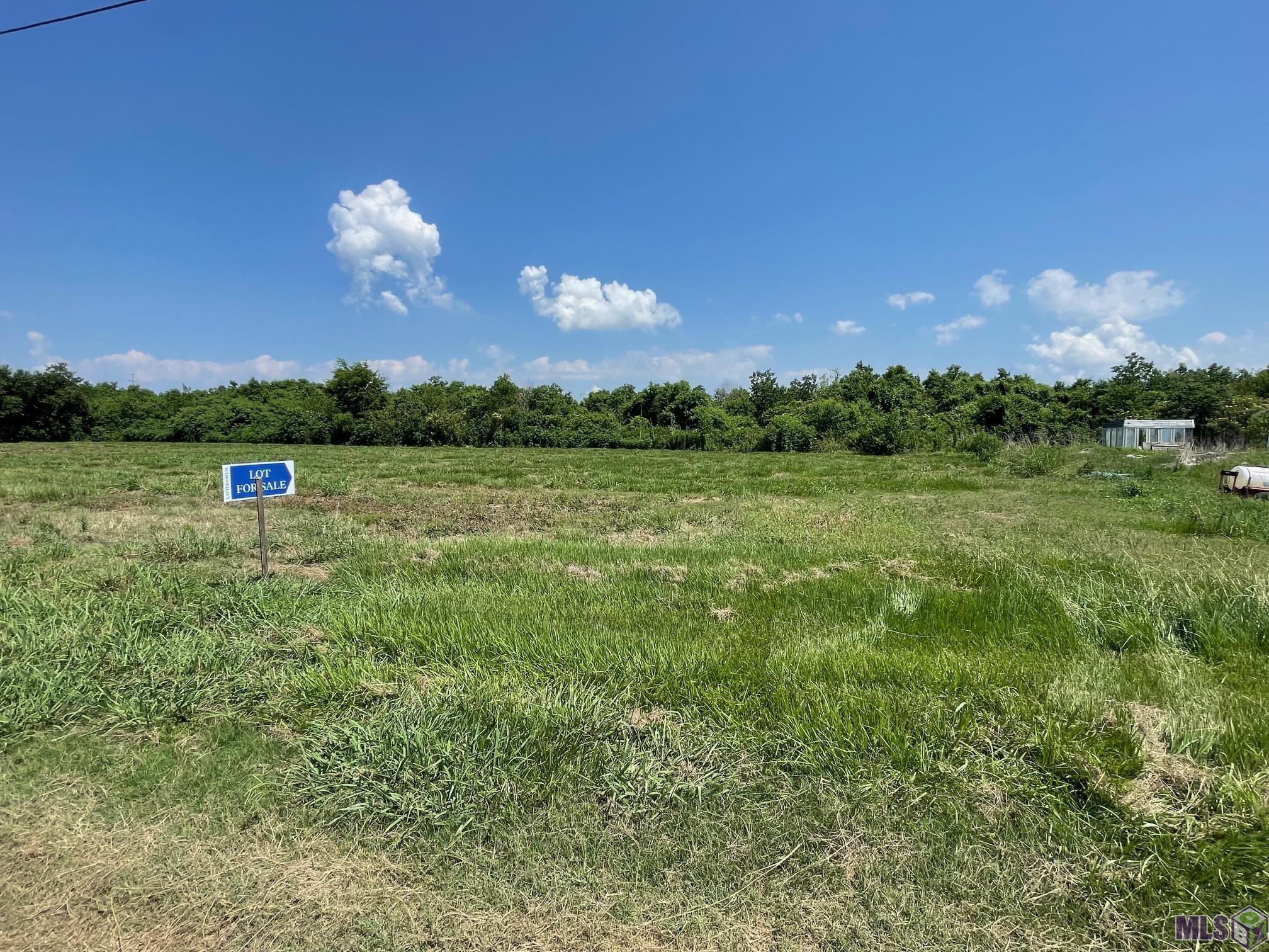 Lot 9-blk East 93rd Street Cut Off, LA 70345 - Photo 3 of 4