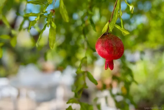 $1,289,000 | 302 Horizon Hills Drive, El Cajon, CA 92020