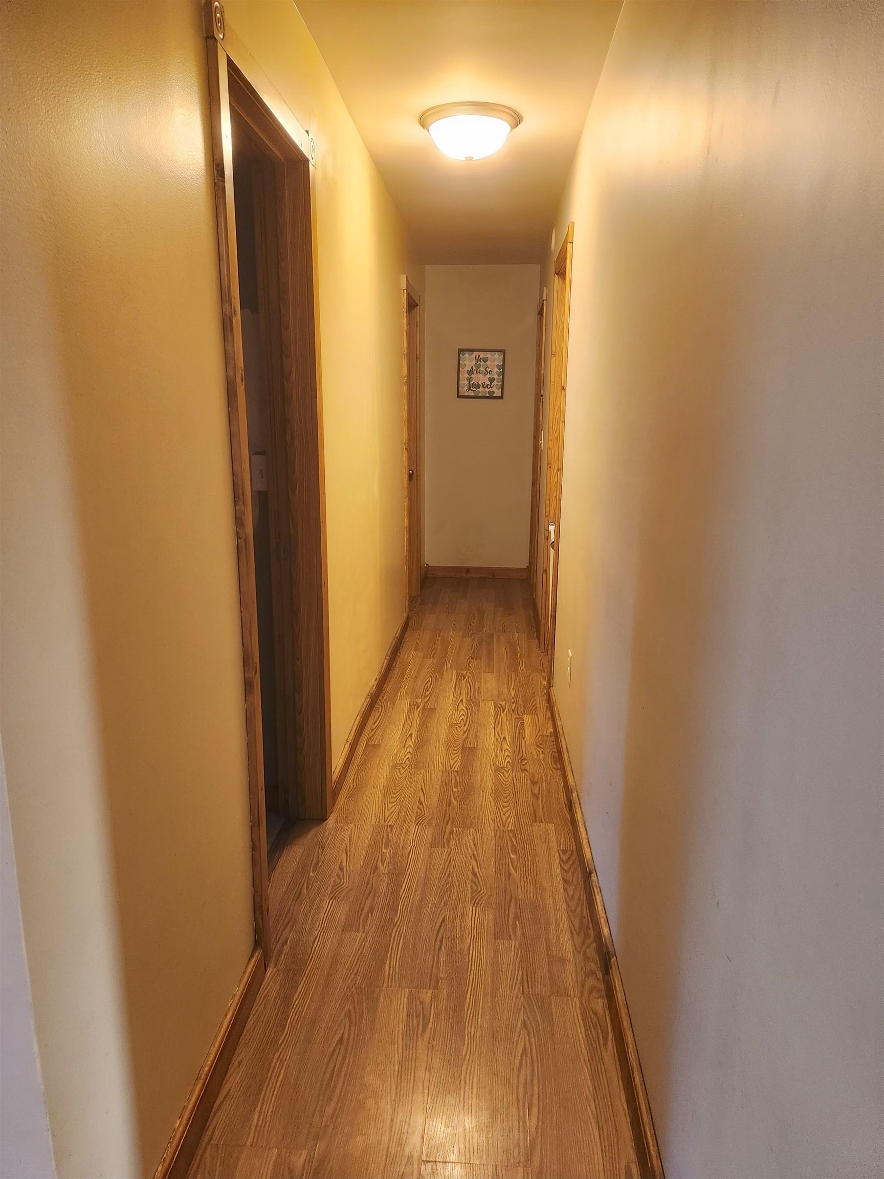1850 South Quanicassee Road Reese, MI 48757 - Photo 13 of 40