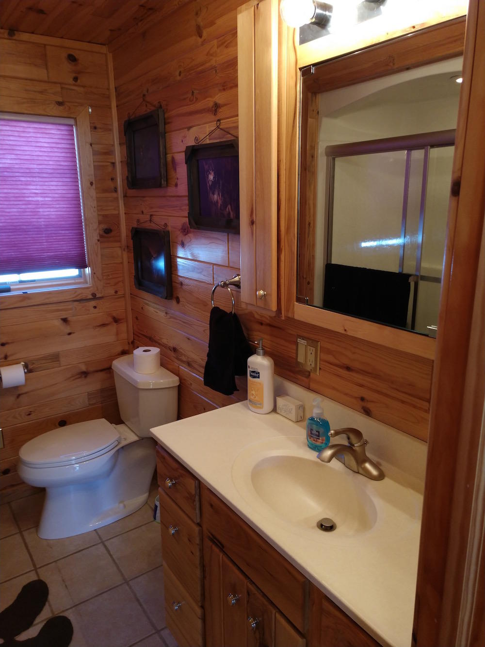 9894 North Whitefish Point Road Paradise, MI 49768 - Photo 30 of 54 Gallery Image 30