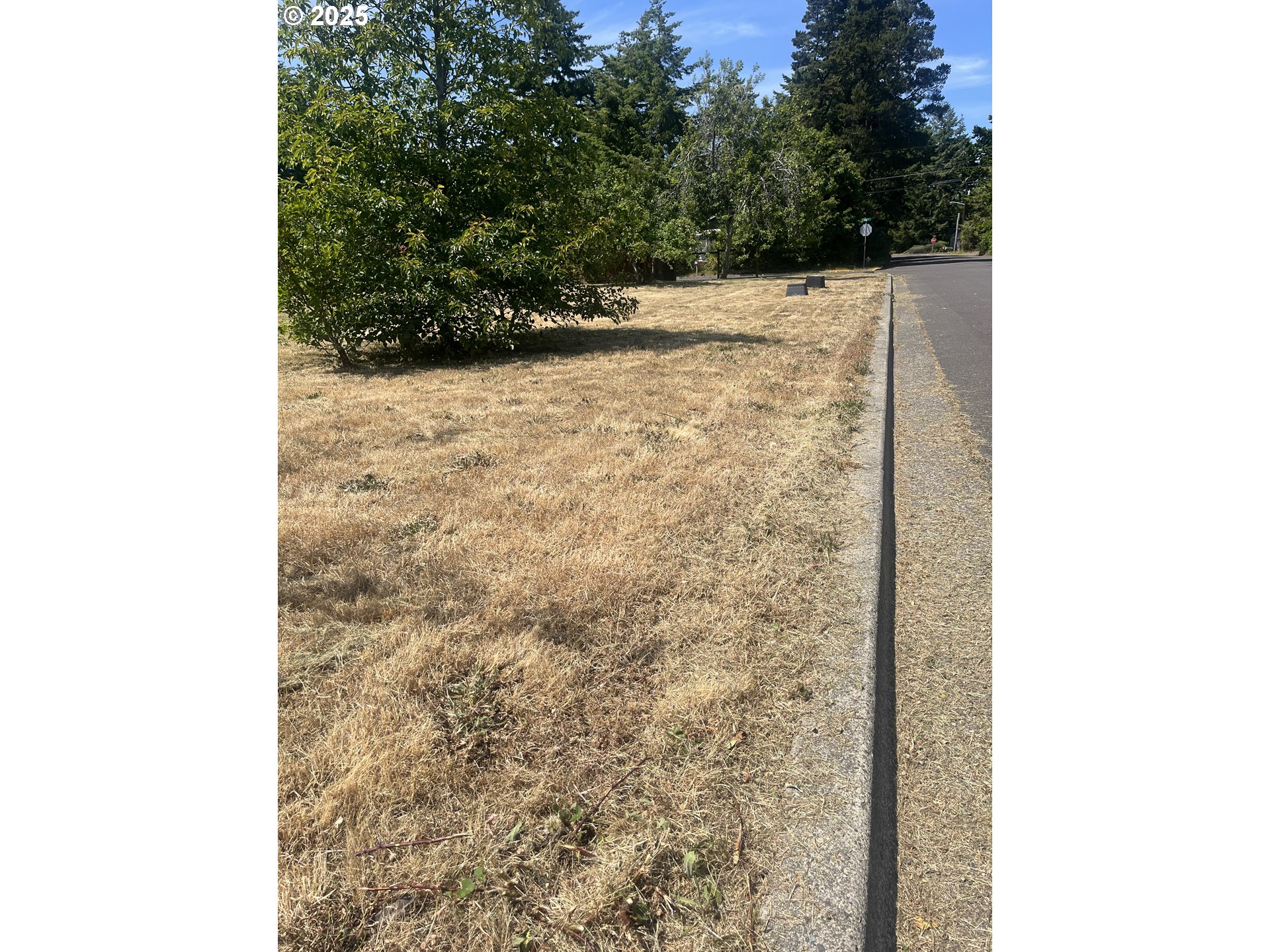 Tamarack Florence, OR 97439 - Photo 11 of 13 a view of a backyard