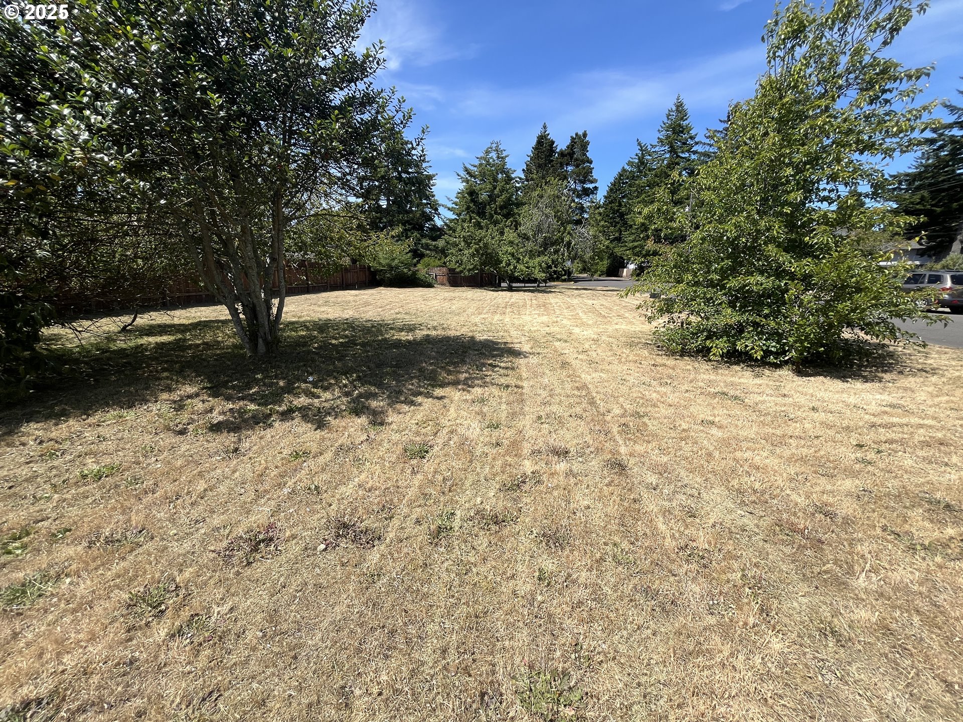 Tamarack Florence, OR 97439 - Photo 12 of 13 a view of a yard with a tree