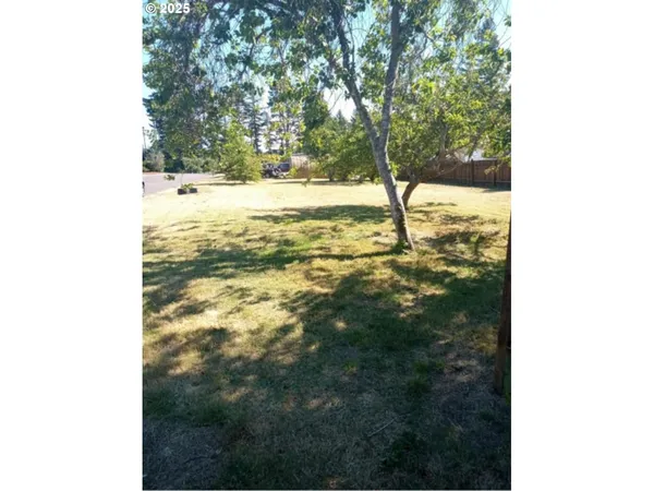 a view of a yard with trees