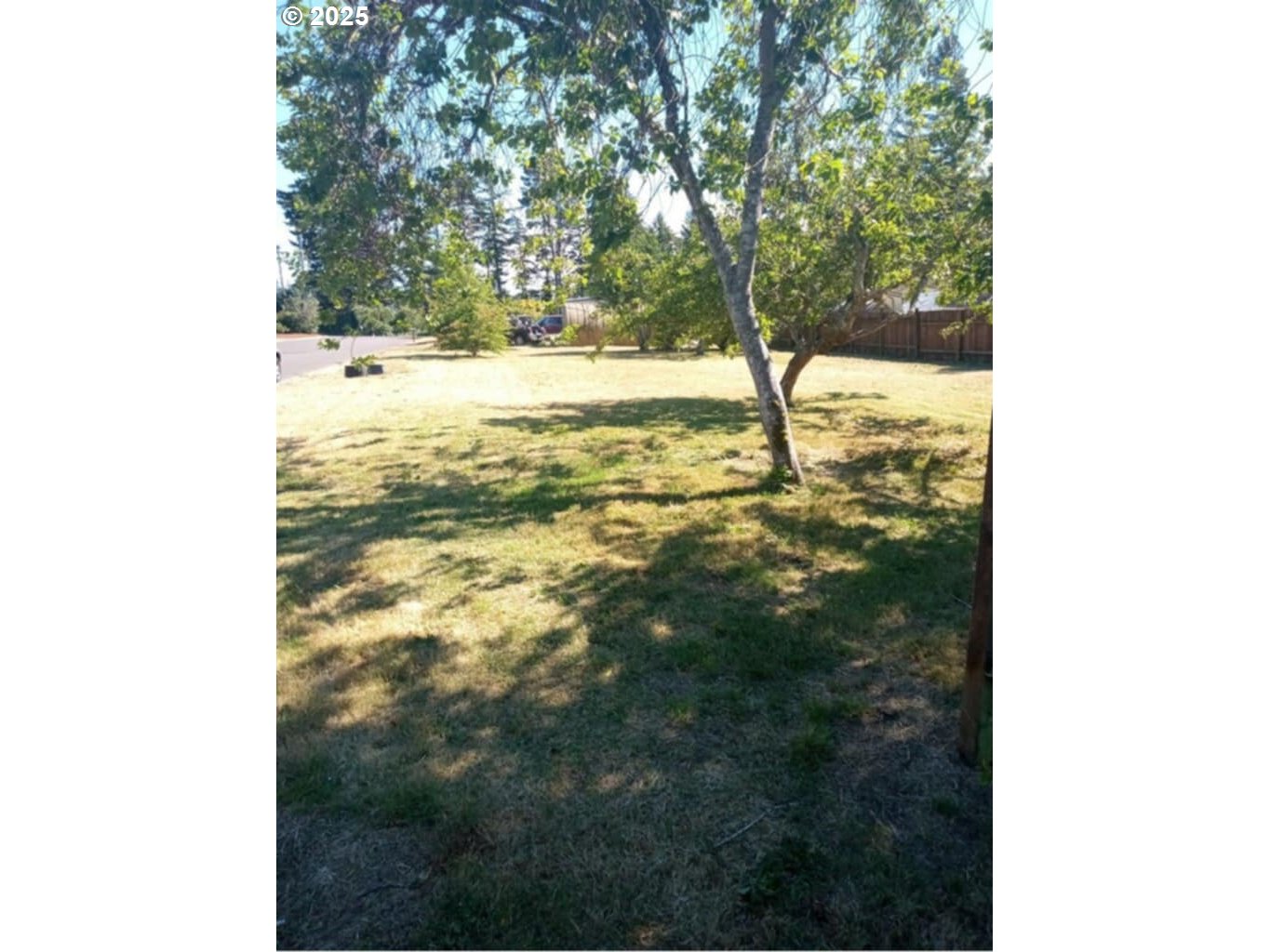 Tamarack Florence, OR 97439 - Photo 2 of 13 a view of a yard with trees