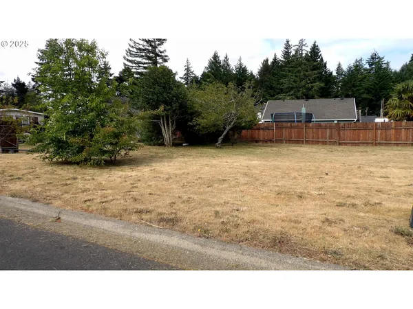 a view of a yard with a tree