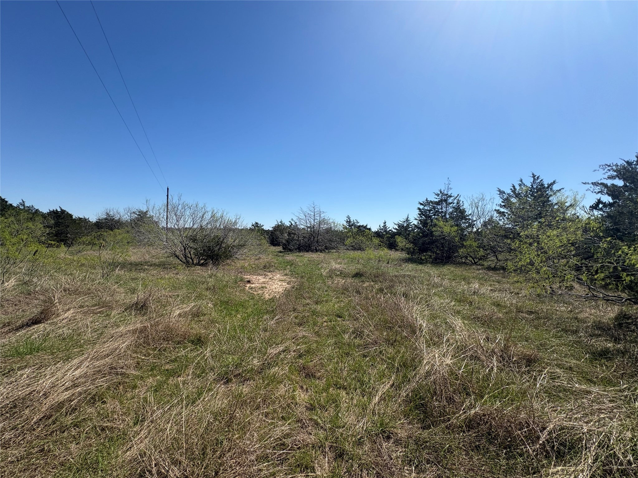 Tbd Patterson Road Flatonia, TX 78941 - Photo 6 of 35 View of nature featuring rural landscape