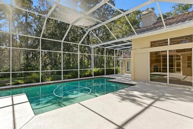 a park view with a bench and trees in the background