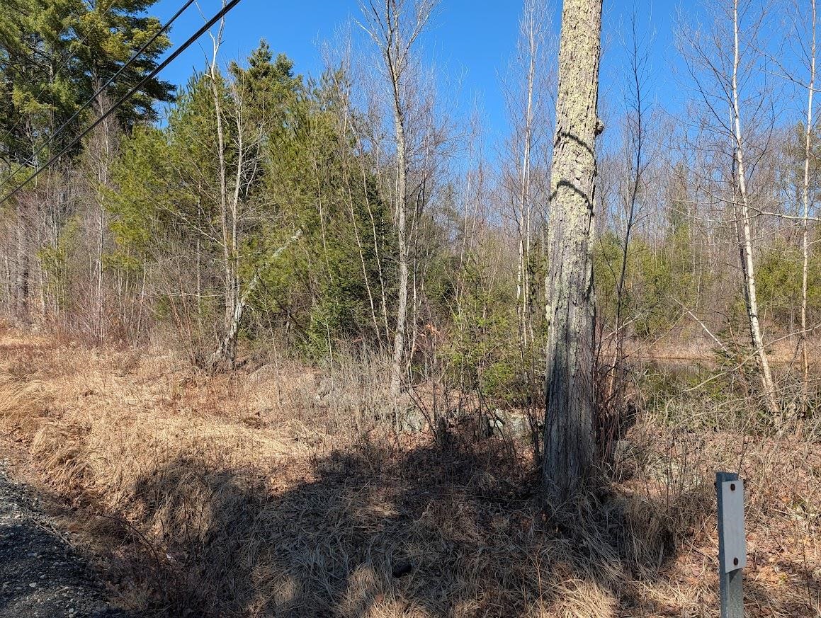 M1-l16 Province Road Barnstead, NH 03218 - Photo 15 of 29