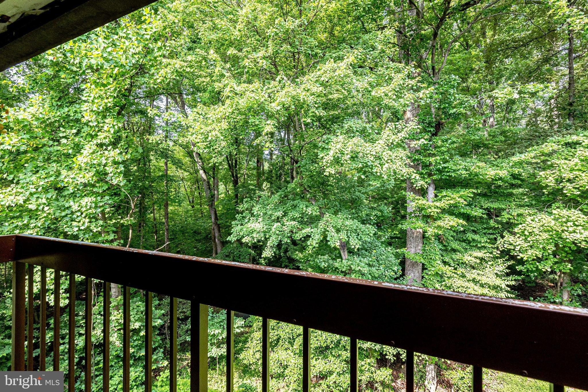11621 Stoneview Square, Unit 22C Reston, VA 20191 - Photo 33 of 37 Tree Lined Back yard