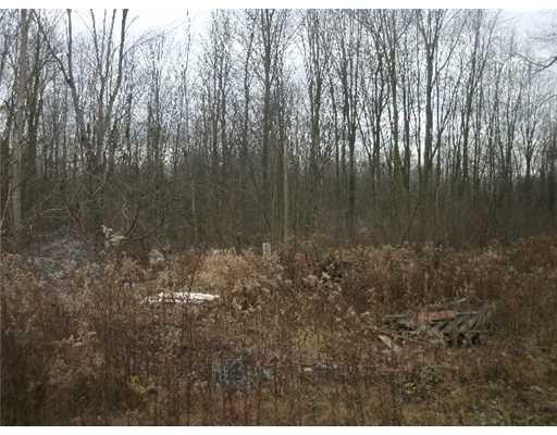 22184 Sumpter Road Belleville, MI 48111 - Photo 3 of 19 Photo 3