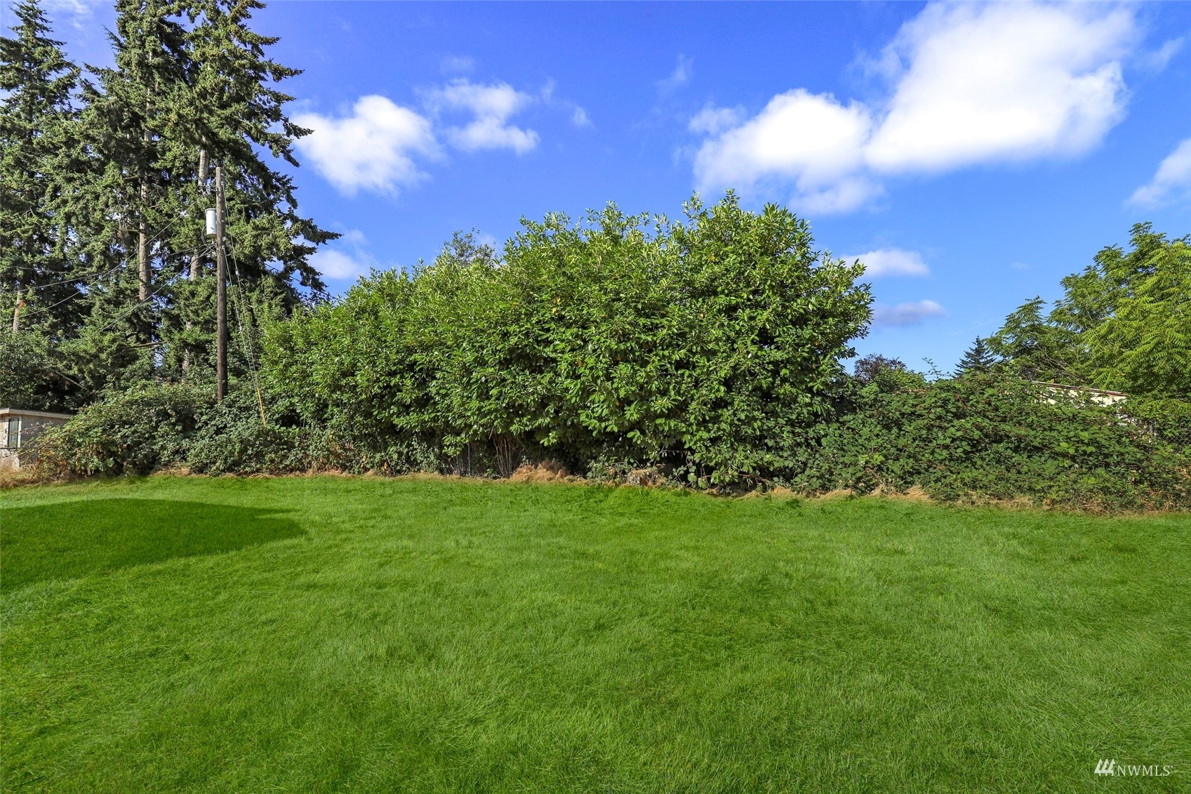 25 Rips Lane Southwest Lakewood, WA 98499 - Photo 32 of 33 a view of a big yard with plants and large tree