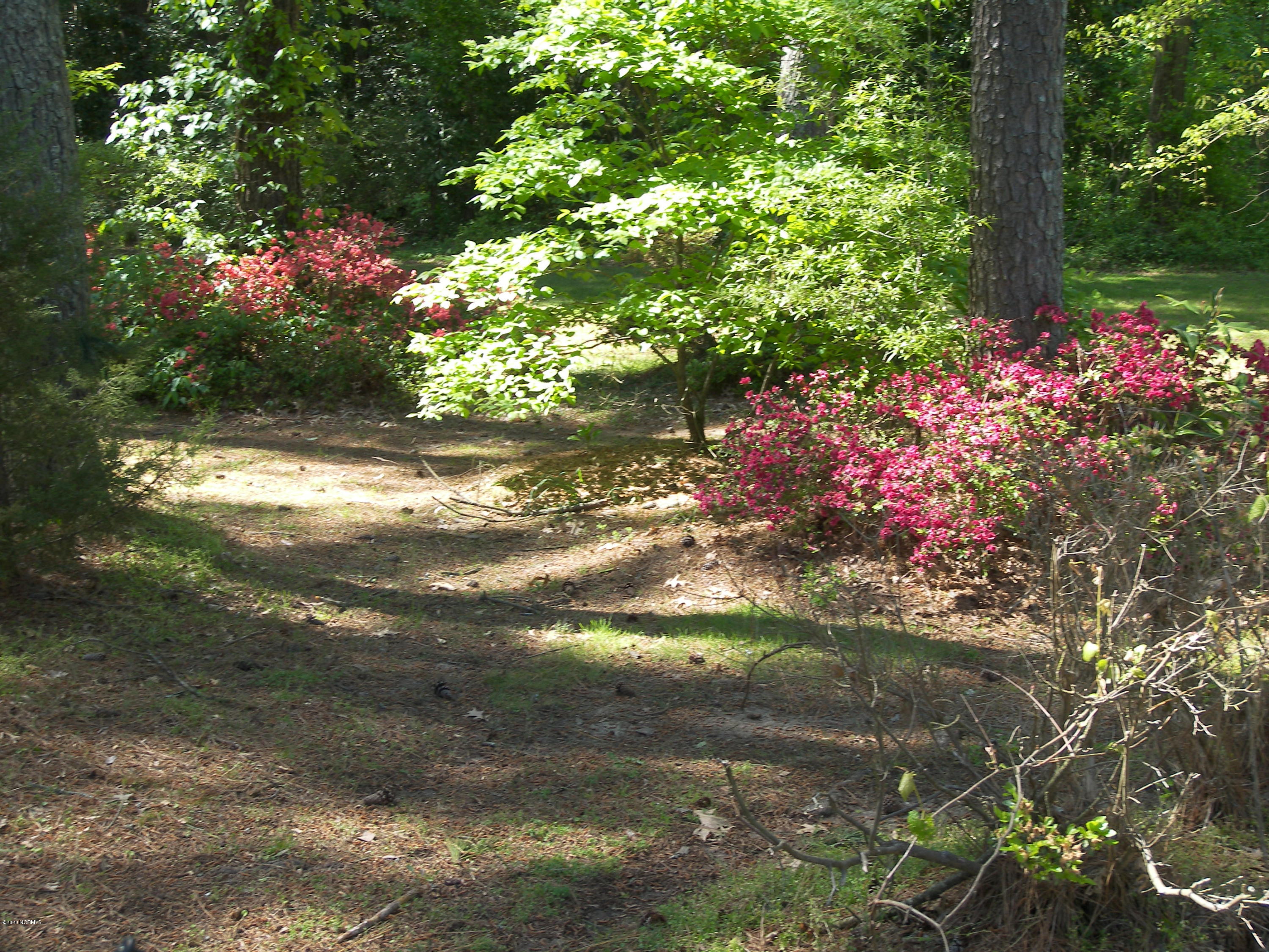 215 2nd Street Spring Hope, NC 27882 - Photo 11 of 12 100_7293