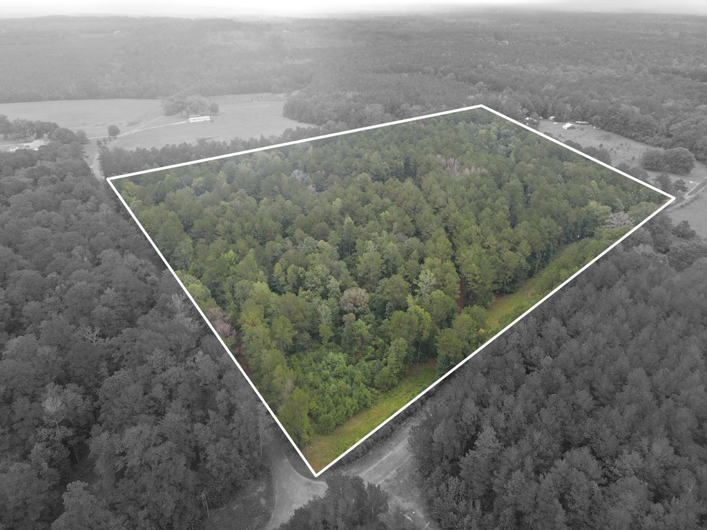 6099 Branch Road Smithdale, MS 39664 - Photo 21 of 27 Photo 21