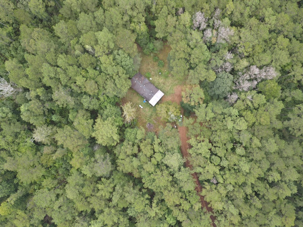 6099 Branch Road Smithdale, MS 39664 - Photo 22 of 27 Photo 22