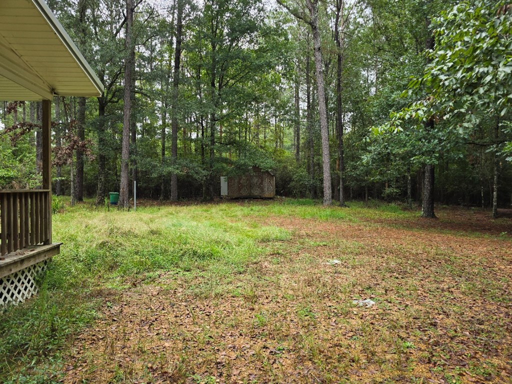6099 Branch Road Smithdale, MS 39664 - Photo 4 of 27 Photo 4