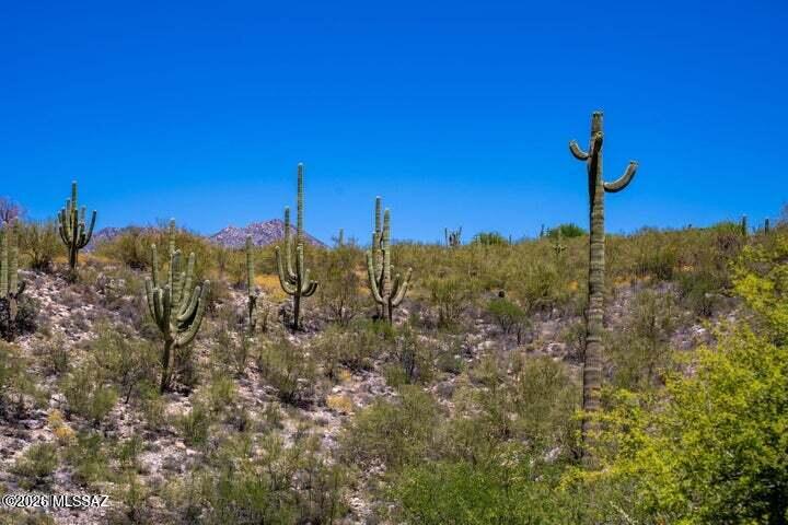 6873 East Snyder Road, Unit 2 Tucson, AZ 85750 - Photo 4 of 15