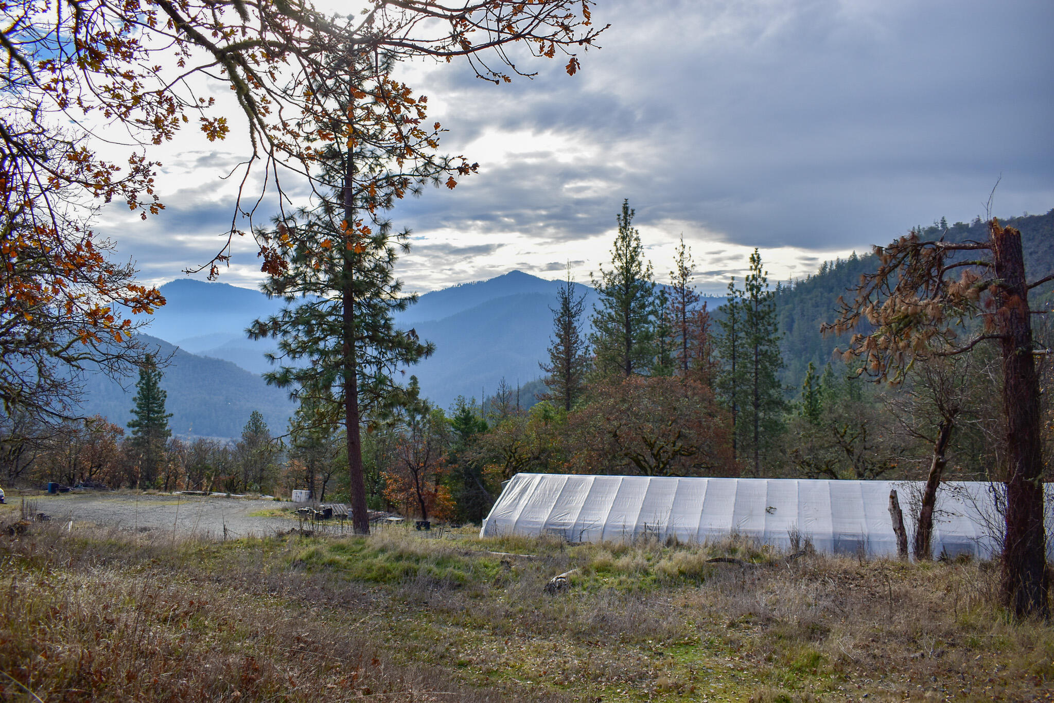 1379 Humbug Creek Road Jacksonville, OR 97530 - Photo 1 of 25 DSC_0003