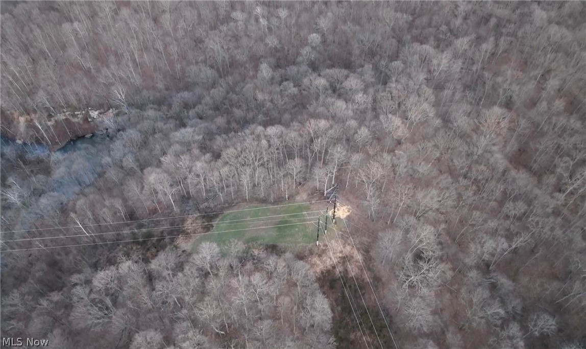 32290 Bailey Run Road Pomeroy, OH 45769 - Photo 40 of 41