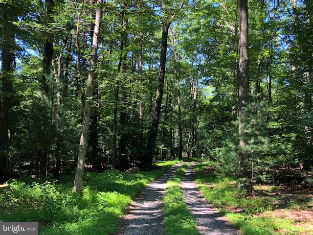 5113 Chambersburg Road Orrtanna, PA 17353 - Photo 1 of 17 This path leads to your own private oasis