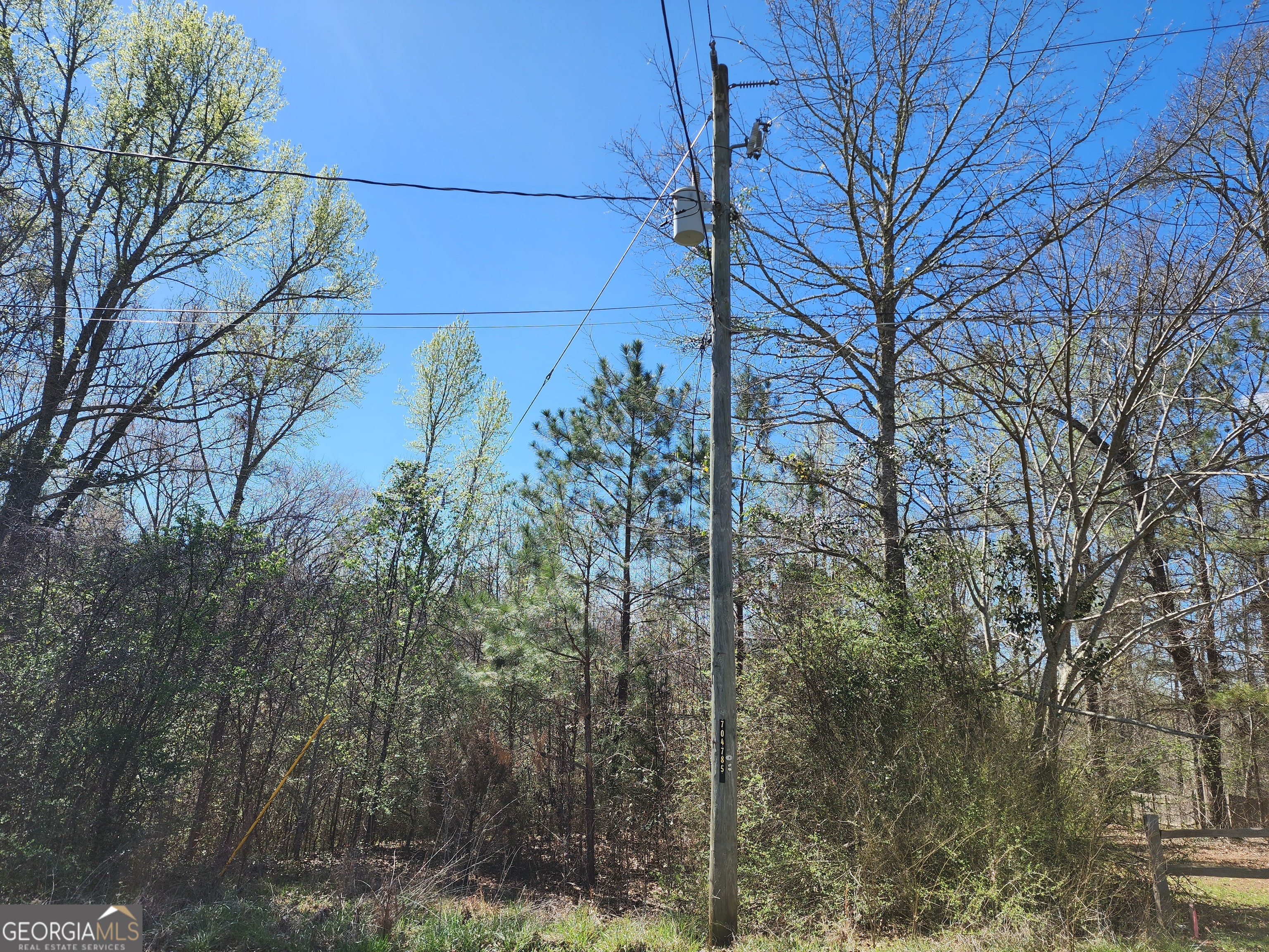0 Deer Ridge Drive Hamilton, GA 31811 - Photo 15 of 15