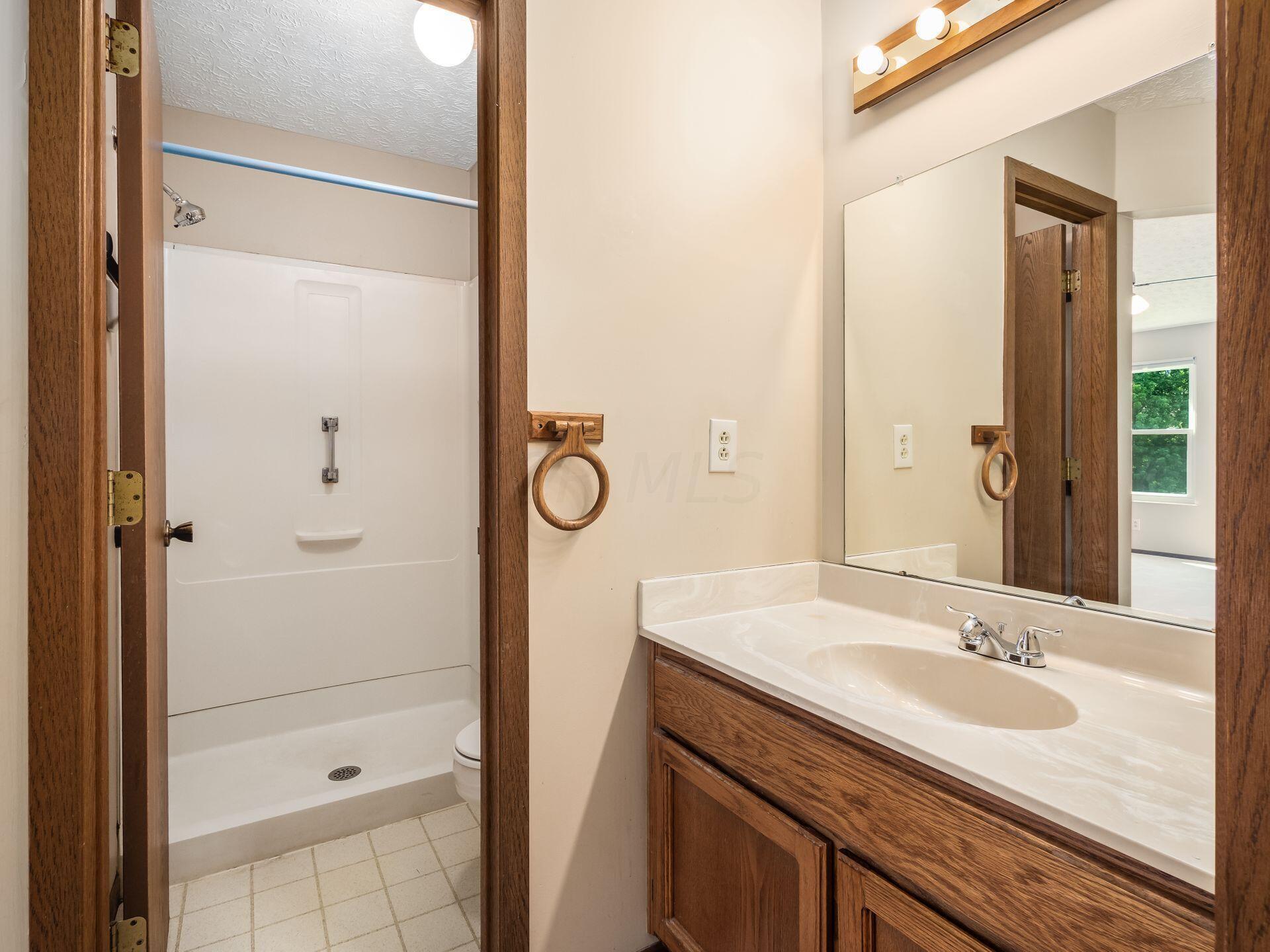 14 Ridgedale Court Powell, OH 43065 - Photo 22 of 42 Primary Bath